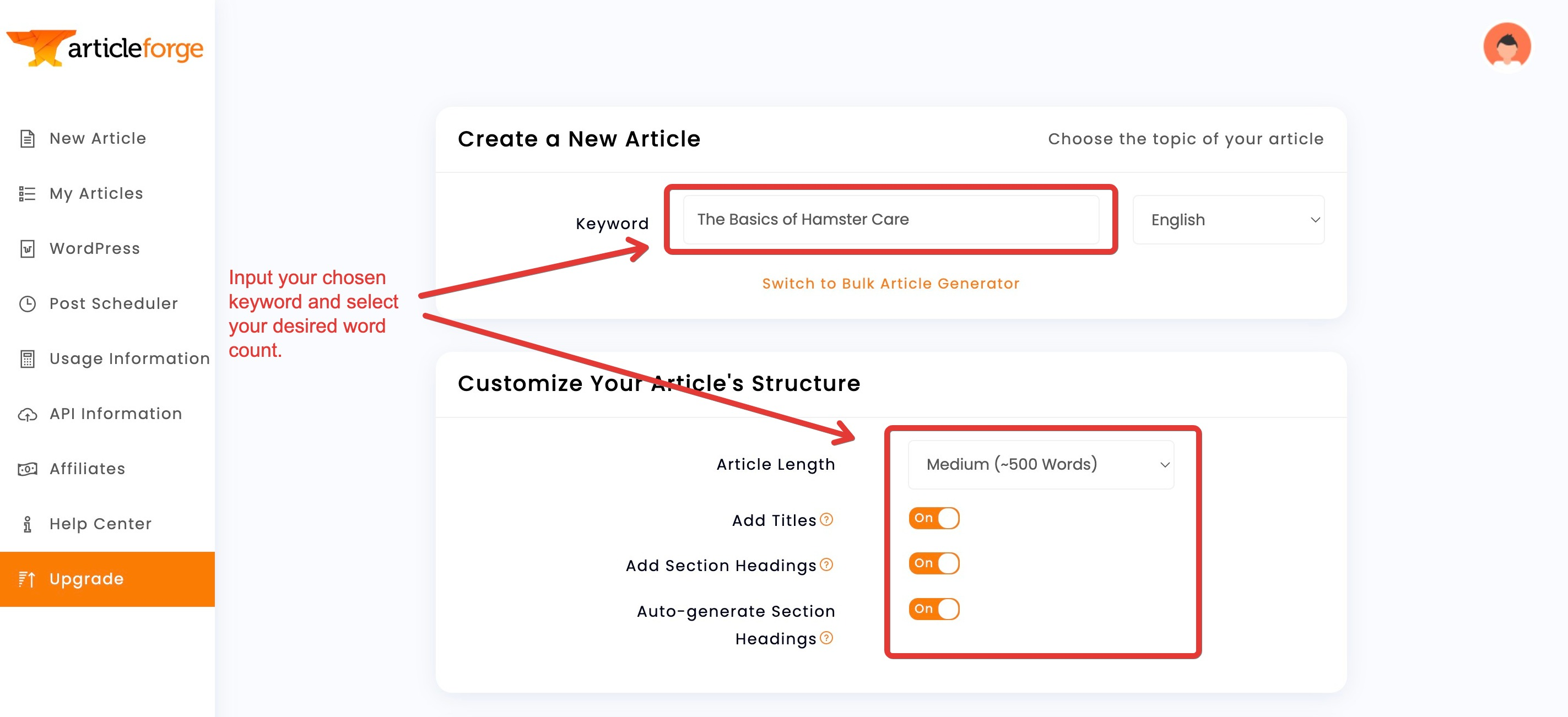 Настройка ArticleForge