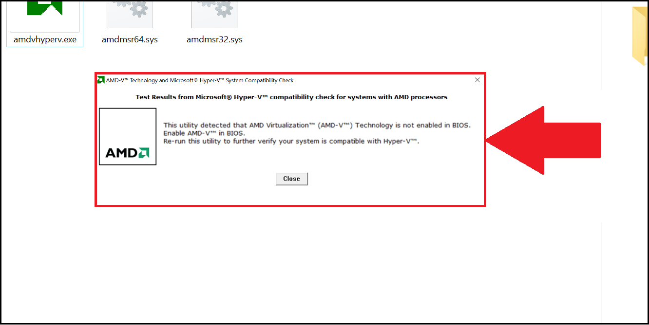 AMD-V Detection
